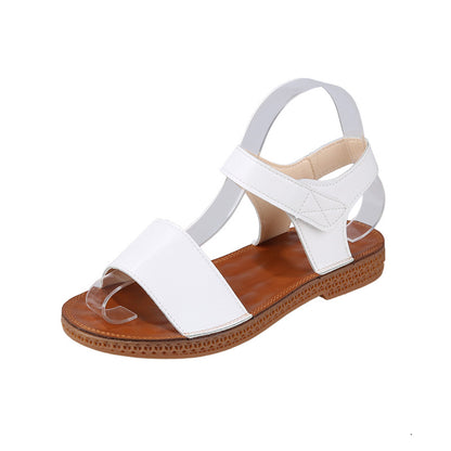 38c4b41ddd67ba20adb22d6e431d0114